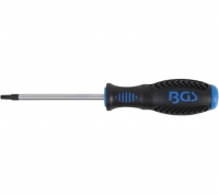 BGS Schraubendreher, T25 x 100 mm