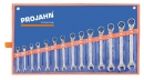 Projahn GearTech Ratschen-Ringgabelschlssel umschaltbar Satz 14