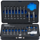 BGS Schraubenausdreher-Satz fr Innensechskant 1,5-10mm / T-Profil (fr Torx) T10-T55 19-tlg.