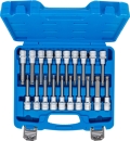 BGS 1/2 Bit-Einsatz-Satz Innensechskant - Torx - Innenvielzahn XZN  mit Kugelkopf 20-tlg.