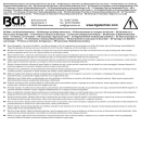 BGS Elektro-Ltkolben-Station digital 60W