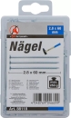 BGS Diy Ngel-Sortiment 250 g 2,8x60mm